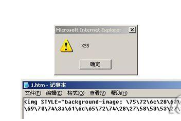 一種自動化檢測Flash中XSS方法的探討