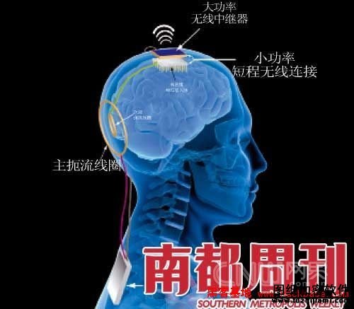 腦機交流裝置可能成為黑客的攻擊點